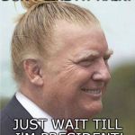 presidential hair | DON'T LIKE MY HAIR? JUST WAIT TILL I'M PRESIDENT! | image tagged in trump | made w/ Imgflip meme maker