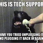 This Is Tech Support | THIS IS TECH SUPPORT; HAVE YOU TRIED UNPLUGGING IT AND PLUGGING IT BACK IN AGAIN? | image tagged in this is dog,tech support,unplug,meme,funny | made w/ Imgflip meme maker