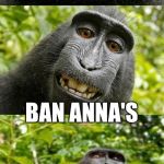 I Guess this Didn't Get Many Upvotes Because I Forgot the Apostrophe the First Time | WANT BETTER PUNS? BAN ANNA'S | image tagged in bad pun monkey,memes,funny,funny animals | made w/ Imgflip meme maker