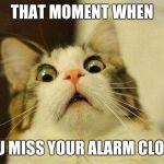 scared cat | THAT MOMENT WHEN; YOU MISS YOUR ALARM CLOCK | image tagged in scared cat | made w/ Imgflip meme maker