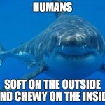 Straight White Shark | HUMANS SOFT ON THE OUTSIDE AND CHEWY ON THE INSIDE | image tagged in straight white shark | made w/ Imgflip meme maker