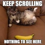 Scary Banana 2 | KEEP SCROLLING; NOTHING TO SEE HERE | image tagged in scary banana 2 | made w/ Imgflip meme maker