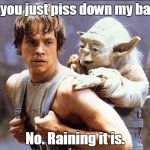 Life isn't tough enough. You gotta have some little f@cker pissing on you. | Did you just piss down my back? No. Raining it is. | image tagged in luke and yoda,funny | made w/ Imgflip meme maker
