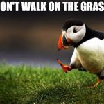 Unpopular Opinion Puffin | DON'T WALK ON THE GRASS | image tagged in unpopular opinion puffin | made w/ Imgflip meme maker