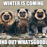 Winter is Coming... | WINTER IS COMING; FIND OUT WHATSGOODLY | image tagged in funny dogs,dogs,pug,too funny,funny animals,hilarious | made w/ Imgflip meme maker