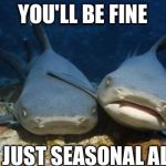 empathetic shark | YOU'LL BE FINE; IT'S JUST SEASONAL ALGAE | image tagged in empathetic shark | made w/ Imgflip meme maker