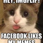Nyah, nyah... (UPDATE: My mom says someone reposted one of my memes. They screwed up the wording, so it's not as clean as mine.) | HEY, IMGFLIP! FACEBOOK LIKES MY MEMES. | image tagged in cat sticking tongue out,funny,memes,facebook,imgflip,nyah | made w/ Imgflip meme maker