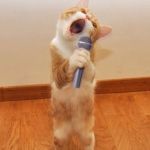 Karaoke Cat | SINGING YOU A PURRFECTLY HAPPY BIRTHDAY! KARAOKE-ING YOU BEST WISHES FOR YOUR SPECIAL DAY, KEN! | image tagged in karaoke cat | made w/ Imgflip meme maker