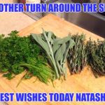 laid-back herbs | ANOTHER TURN AROUND THE SUN! BEST WISHES TODAY NATASHA | image tagged in laid-back herbs | made w/ Imgflip meme maker