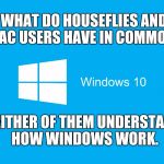 What do houseflies and Mac users have in common? | WHAT DO HOUSEFLIES AND MAC USERS HAVE IN COMMON? NEITHER OF THEM UNDERSTAND HOW WINDOWS WORK. | image tagged in windows 10,memes,mac,apple | made w/ Imgflip meme maker
