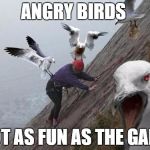 Angry Birds | ANGRY BIRDS; NOT AS FUN AS THE GAME | image tagged in angry birds | made w/ Imgflip meme maker