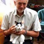 Corbyn Cats