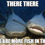 empathetic shark | THERE THERE; THERE ARE MORE FISH IN THE SEA | image tagged in empathetic shark | made w/ Imgflip meme maker
