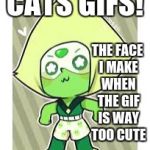 shorts of peridot | CATS GIFS! THE FACE I MAKE WHEN THE GIF IS WAY TOO CUTE | image tagged in shorts of peridot | made w/ Imgflip meme maker