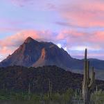 arizona mountian