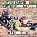Dog spotter on sniper team | YUP THAT'S THE ONE WHO TOOK MY BONE; TAKE HIM OUT | image tagged in dog spotter on sniper team,memes | made w/ Imgflip meme maker