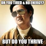 Mr Chow | OH YOU TIRED & NO ENERGY? BUT DO YOU THRIVE | image tagged in mr chow | made w/ Imgflip meme maker