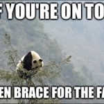 Panda on top | IF YOU'RE ON TOP; THEN BRACE FOR THE FALL | image tagged in panda on top | made w/ Imgflip meme maker