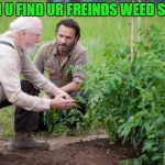 Walking Dead garden | WHEN U FIND UR FREINDS WEED STASH | image tagged in walking dead garden | made w/ Imgflip meme maker