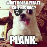 PIRATE PUP | WHAT DOES A PIRATE CALL HIS DOG? PLANK. | image tagged in pirate pup | made w/ Imgflip meme maker