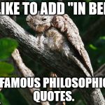 Now taking contributions. | I LIKE TO ADD "IN BED"; TO FAMOUS PHILOSOPHICAL QUOTES. | image tagged in odd stuff i do high potoo | made w/ Imgflip meme maker