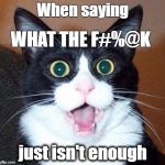 WTF.... | When saying; WHAT THE F#%@K; just isn't enough | image tagged in surprised cat lol,memes | made w/ Imgflip meme maker