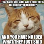 I'm A Good Listener. Usually.  | THAT SMILE YOU MAKE WHEN SOMEONE'S TALKING TO YOU EXCITEDLY; AND YOU HAVE NO IDEA WHAT THEY JUST SAID | image tagged in happy cat smiling,memes | made w/ Imgflip meme maker