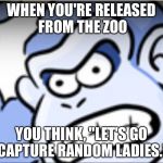 Donkey kong | WHEN YOU'RE RELEASED FROM THE ZOO; YOU THINK, "LET'S GO CAPTURE RANDOM LADIES." | image tagged in donkey kong | made w/ Imgflip meme maker