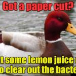 Malicious Advice Mallard | Got a paper cut? Put some lemon juice on it to clear out the bacteria | image tagged in memes,malicious advice mallard,paper cuts,trhtimmy | made w/ Imgflip meme maker