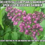 Raindrops | LIKE CRYSTAL CLEAR PEARLS
RAINDROPS UPON LILAC BLOSSOMS SHIMMER; THEIR SCENT WAFTING IN THE AIR
MAKING WAY FOR HAPPY DAYDREAMS | image tagged in raindrops,lilacs,daydreams,scents,blossoms | made w/ Imgflip meme maker