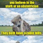 Fledgling Humor | It doesn't matter whether you believe in the stork or an obstetrician; They both have sizable bills | image tagged in bad pun ostrich | made w/ Imgflip meme maker