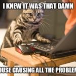cat computer | I KNEW IT WAS THAT DAMN; MOUSE CAUSING ALL THE PROBLEMS | image tagged in cat computer | made w/ Imgflip meme maker