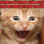 Excited Cat Meme Generator - Imgflip