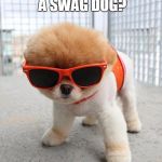 Cute Puppies | WHAT DO U CALL A SWAG DOG? A HOTTDOG. | image tagged in cute puppies | made w/ Imgflip meme maker