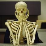 Skelton waiting