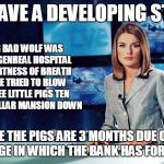 Fairy Tale News Headlines | WE HAVE A DEVELOPING STORY; THE BIG BAD WOLF WAS SENT TO GENREAL HOSPITAL FOR SHORTNESS OF BREATH AFTER HE TRIED TO BLOW THE THREE LITTLE PIGS TEN MILLION DOLLAR MANSION DOWN; BECAUSE THE PIGS ARE 3 MONTHS DUE ON THEIR MORTGAGE IN WHICH THE BANK HAS FORECLOSED | image tagged in news reader | made w/ Imgflip meme maker