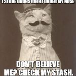 Moustache cat posh | I STORE DRUGS RIGHT UNDER MY NOSE; DON'T BELIEVE ME? CHECK MY STASH. | image tagged in moustache cat posh | made w/ Imgflip meme maker