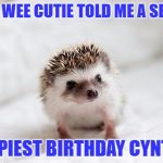 hedgehog  | THIS WEE CUTIE TOLD ME A SECRET; HAPPIEST BIRTHDAY CYNTHIA | image tagged in hedgehog | made w/ Imgflip meme maker
