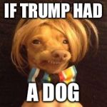 Trump dog | IF TRUMP HAD; A DOG | image tagged in dog | made w/ Imgflip meme maker