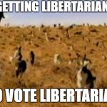 It's like herding cats! | GETTING LIBERTARIANS; TO VOTE LIBERTARIAN | image tagged in cat herding cats,memes,politics,political,libertarian | made w/ Imgflip meme maker