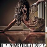 Zombies | THERE'S A FLY IN MY HOUSE? | image tagged in zombies | made w/ Imgflip meme maker