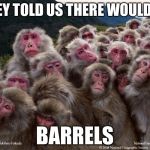 Monkeys | THEY TOLD US THERE WOULD BE; BARRELS | image tagged in monkeys | made w/ Imgflip meme maker