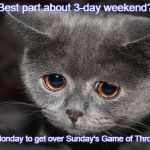 Sad cat | Best part about 3-day weekend? Having Monday to get over Sunday's Game of Thrones loss. | image tagged in sad cat | made w/ Imgflip meme maker