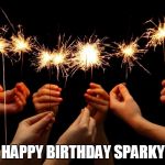 sparkiy's birthday | HAPPY BIRTHDAY SPARKY | image tagged in sparkiy's birthday | made w/ Imgflip meme maker