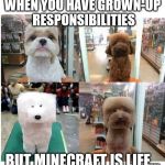 Mincraft Dogs IRL | WHEN YOU HAVE GROWN-UP RESPONSIBILITIES; BUT MINECRAFT IS LIFE... | image tagged in mincraft dogs irl | made w/ Imgflip meme maker