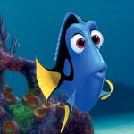 Dory Question