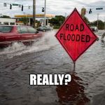 Flooded | REALLY? | image tagged in flooded | made w/ Imgflip meme maker