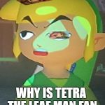 Link is Not Happy With You | LOL MEMSE; WHY IS TETRA THE LEAF MAN FAN | image tagged in link is not happy with you,scumbag | made w/ Imgflip meme maker