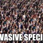People | INVASIVE SPECIES | image tagged in people | made w/ Imgflip meme maker