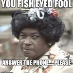 AUNT ESTHER | YOU FISH EYED FOOL; ANSWER THE PHONE.....PLEASE | image tagged in aunt esther | made w/ Imgflip meme maker